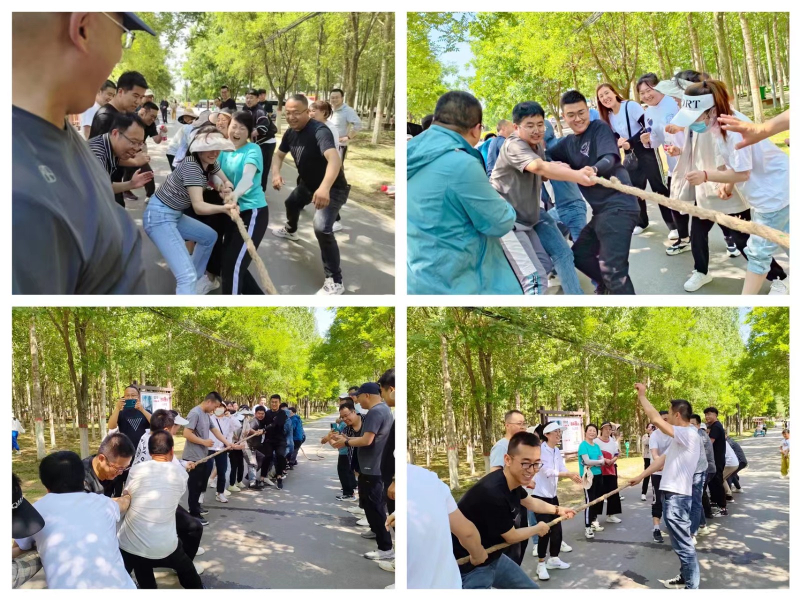 “學(xué)習(xí)二十大、奮進(jìn)新征程”三抓三促在行動 徒步活動暨2023年6月主題黨日活動
